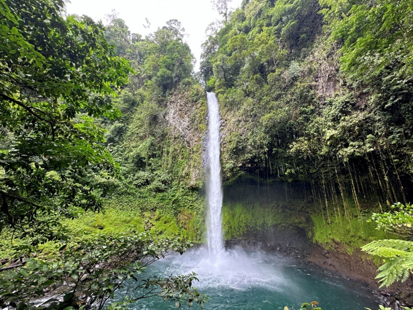 Tropical waterfall