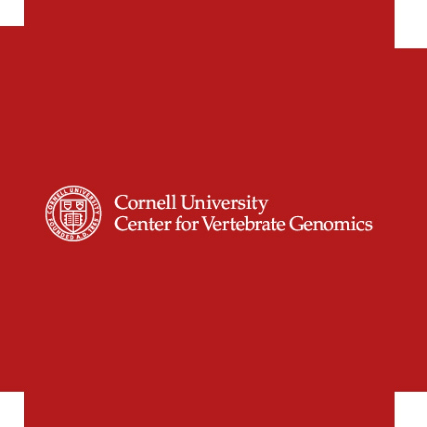 Center for Vertebrate Genomics