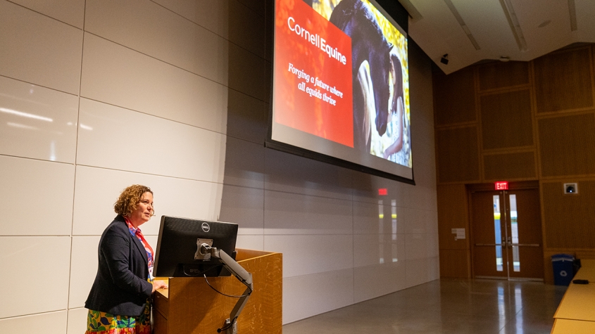 Dr. Cohen speaking in Lecture Hall 4