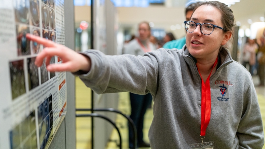 A student points at a research poster