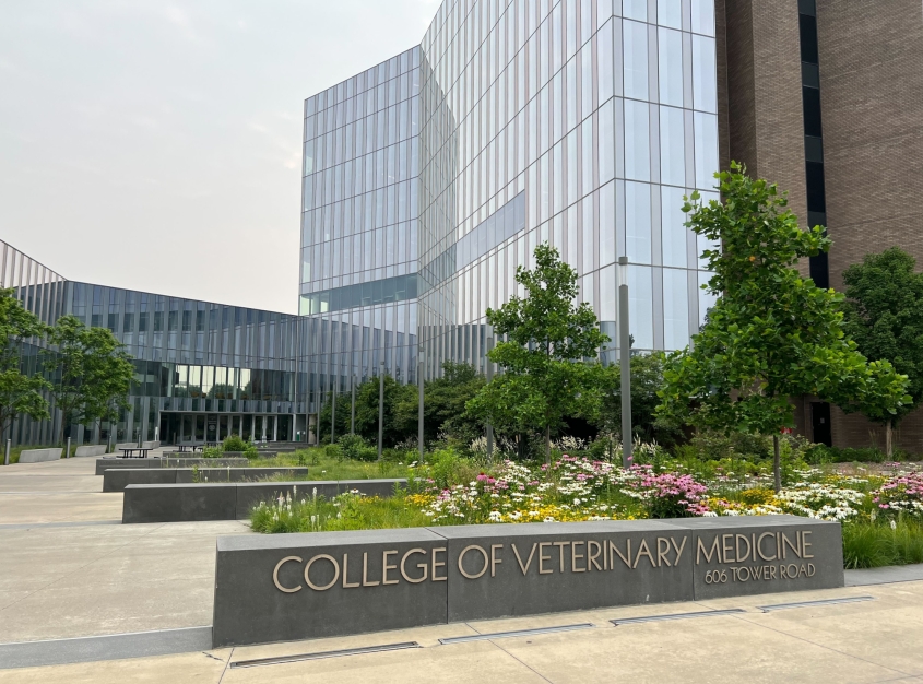 Exterior view of the CVM building