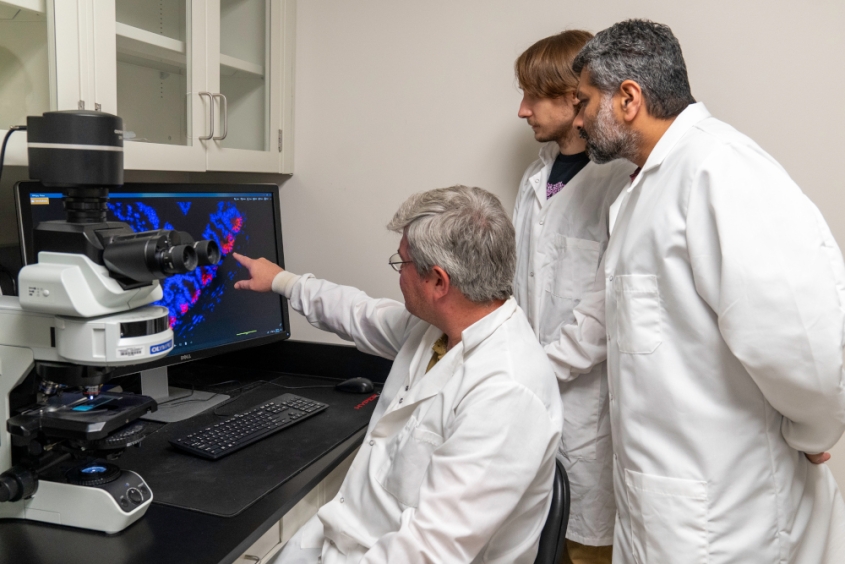 Scientists looking at a microscopy image and pointing at a screen