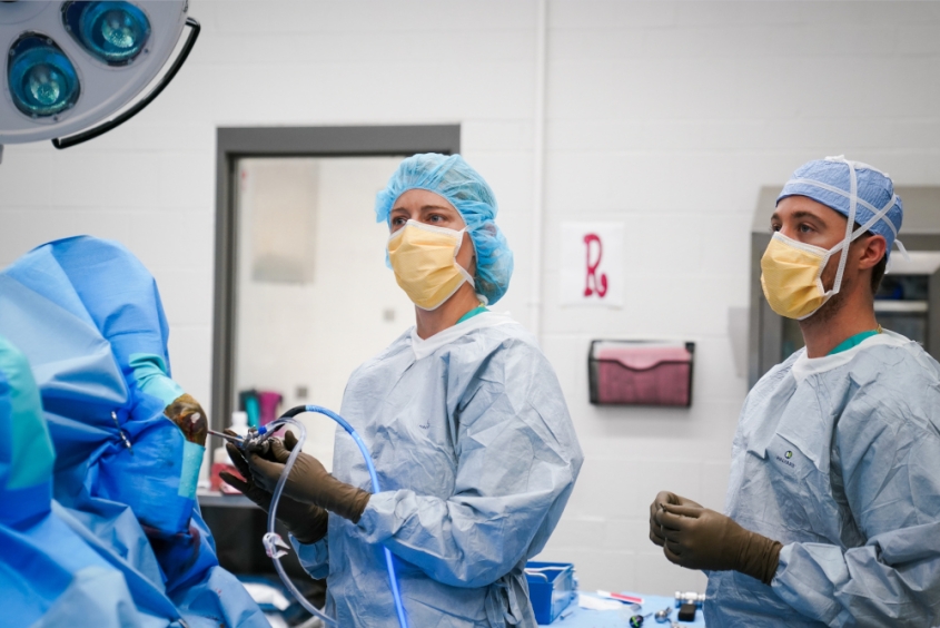 Veterinary surgeons in full scrub in an operating room