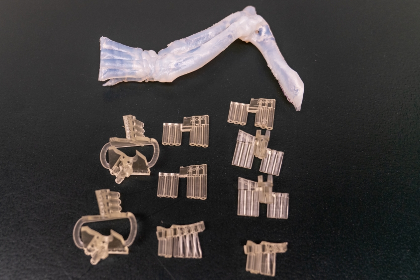 3D printed plastic guides for a canine foreleg