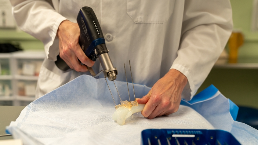 Guides drilled into equipment for a canine foreleg surgery