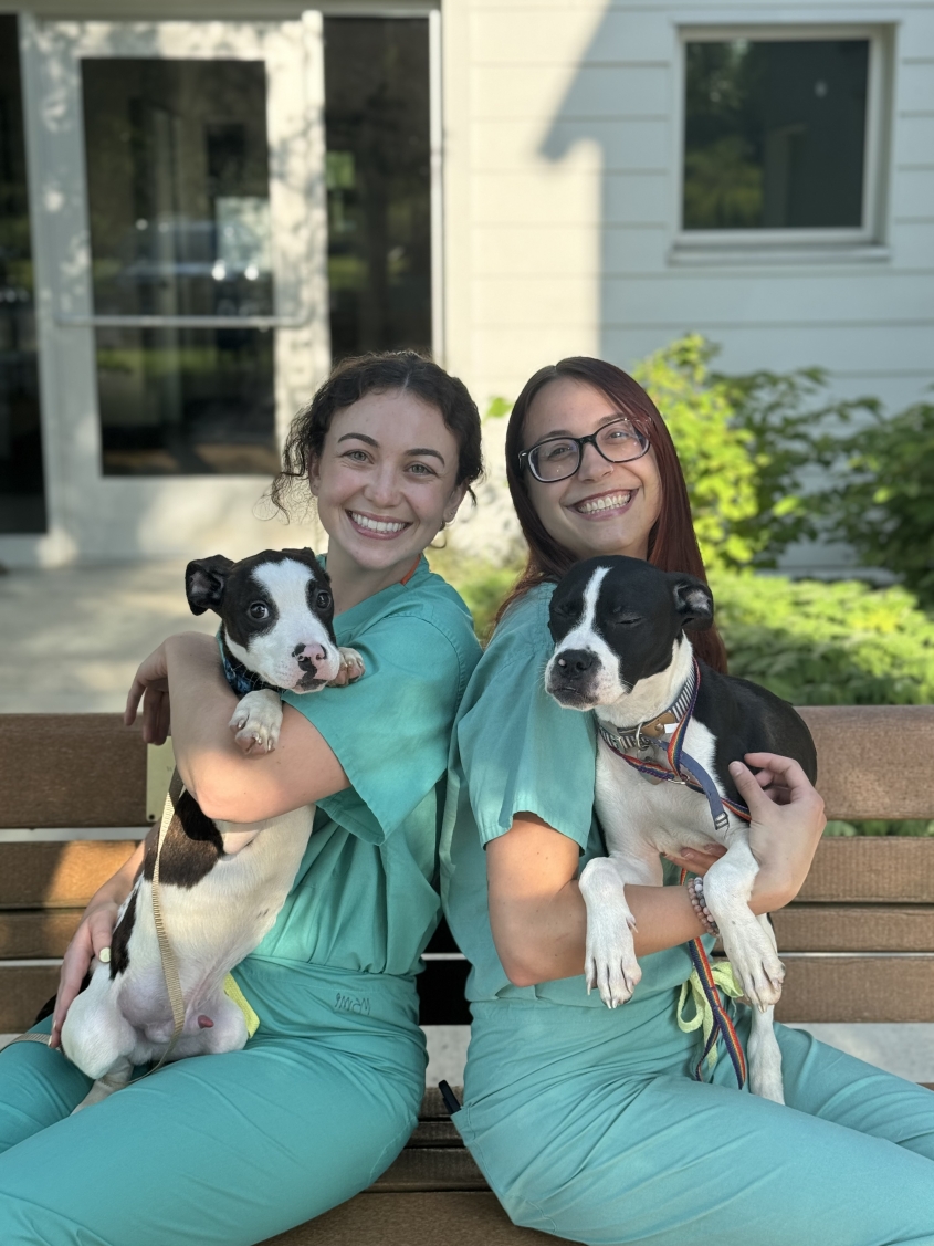 MSMP Interns: Dr. Kara Kochek, left and Dr. Megan Barry, right 