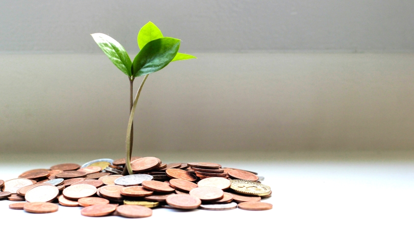 A green shoot with coins as roots
