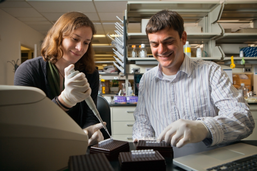Adam Boyko working in a lab with a colleague