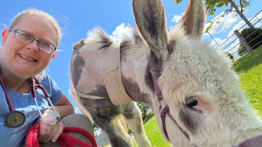 Dr. Katharyn Mitchell with a donkey patient