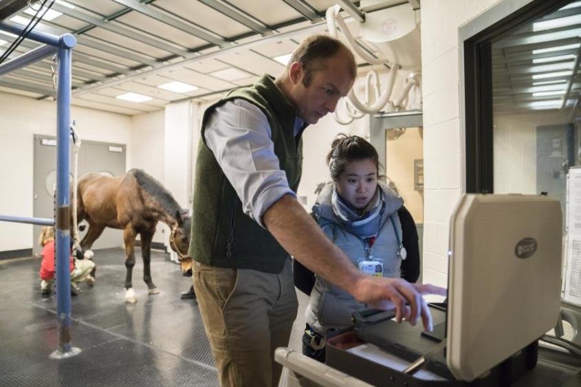 Dr. Jon Cheetham reviews an image on a screen with a student and a horse in the background. 