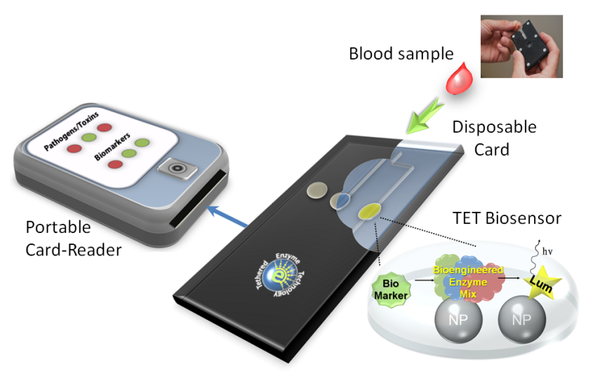 point of care testing schematic