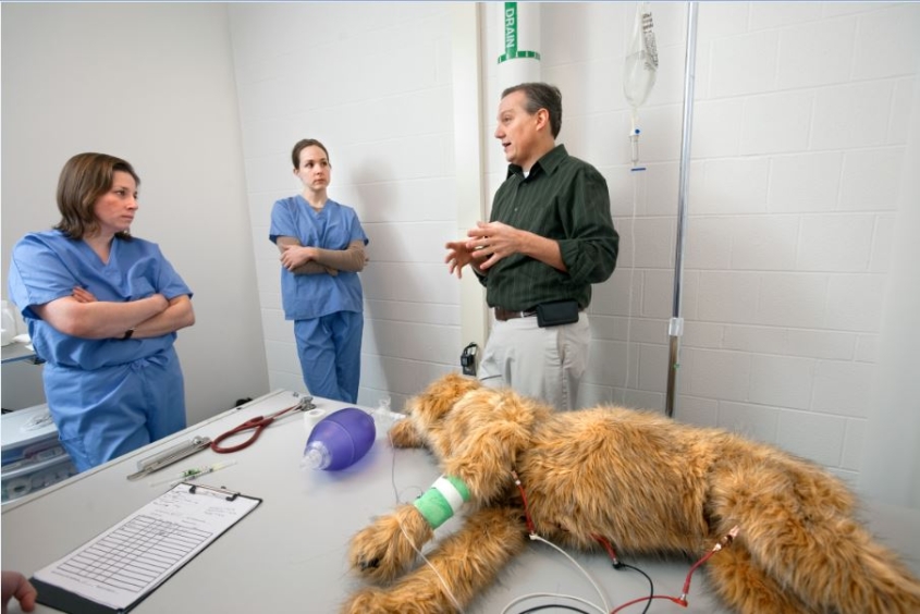 Professor Daniel Fletcher's Robotic Dog used to teach vet students CPR techniques.