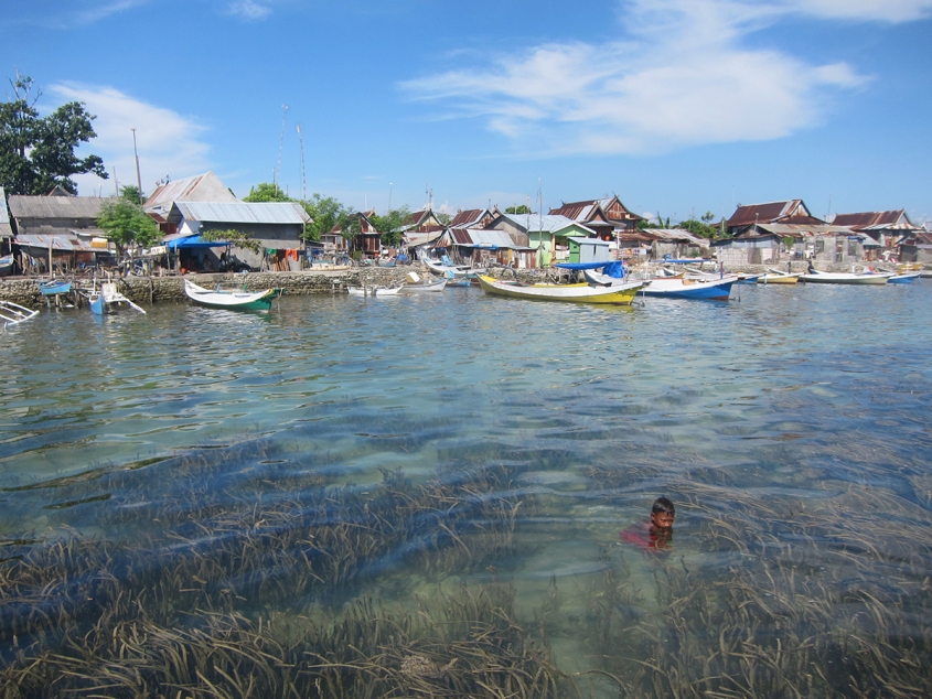 A young boy swims above seagrass meadows close to shore on an Indonesian island. The seagrass reduces bacterial exposure for corals, sea creatures and humans