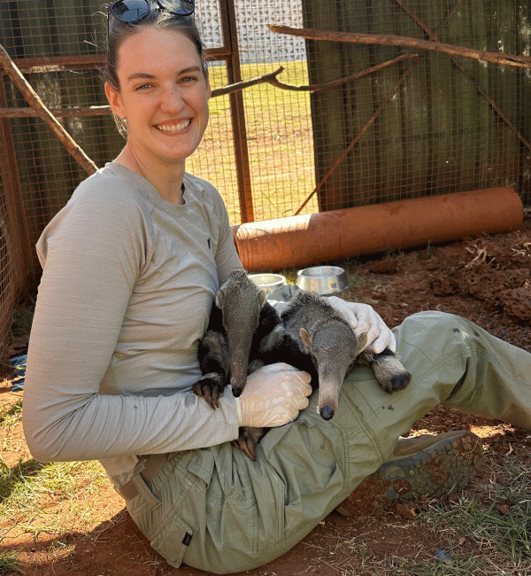 Student with baby anteaters