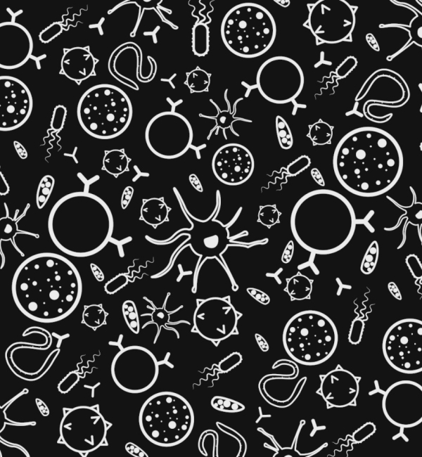 Simplified drawing of various microbes and cells