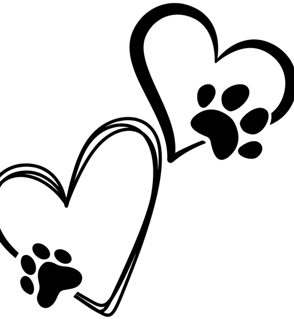 Pawprint graphic placeholder