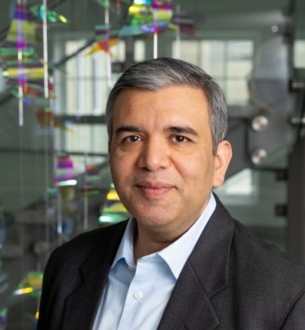 Saurabh Mehta standing in front of dangling polychrome figures at MVR.